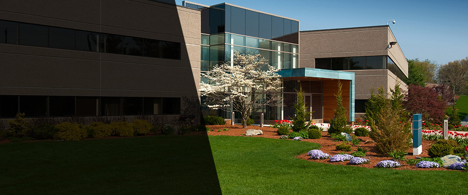 Frenchtown Landscapers